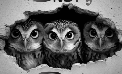 Glory Owl au No Name