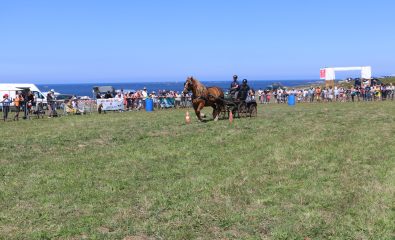Fête du cheval de Landunvez