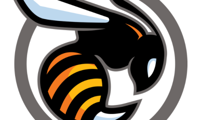 Lutte contre le Frelon asiatique - fin de campagne