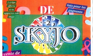 Tournoi de SkyJo le dimanche 29 mars 2026